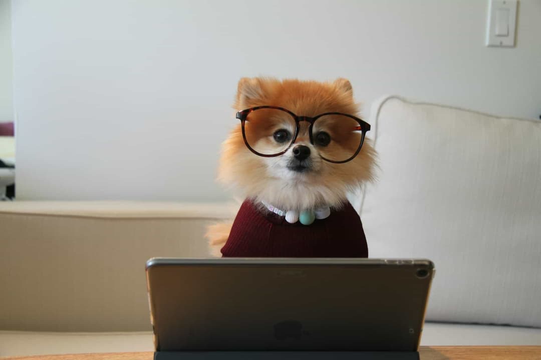 50+ Essential Hard Skills to Include on Your Resume in 2025