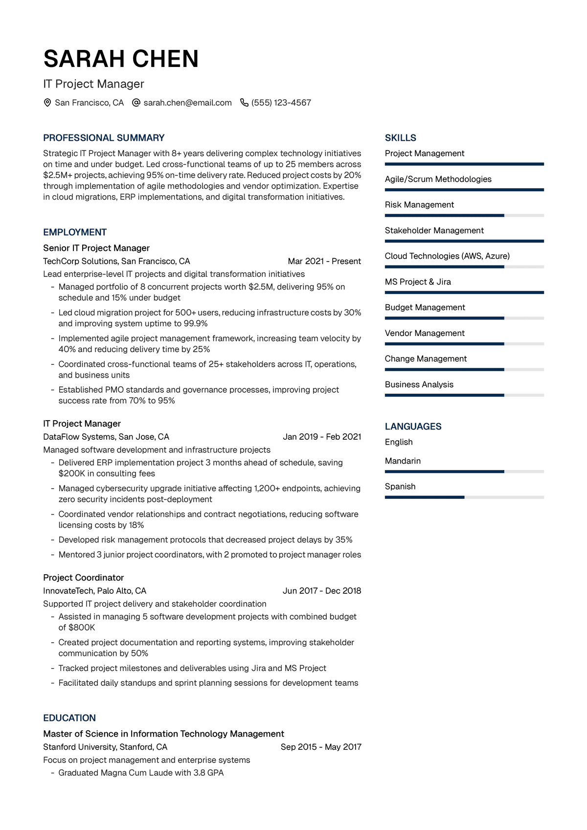 IT Project Manager